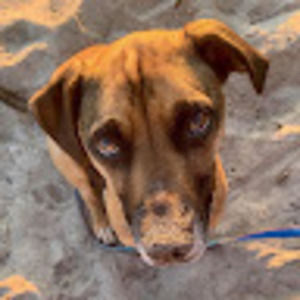 Meet your Posher, Margaret